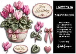 Flowers 14 Clipart Collection PNG