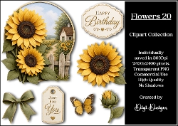 Flowers 20 Clipart Collection PNG