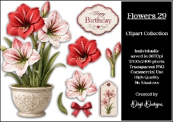 Flowers 29 Clipart Collection PNG