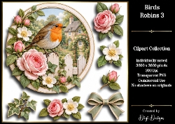 Birds - Robins 3 Clipart Collection