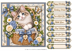 8x8 Blue Basket Kitten - Quick Card Front with Sentiment 