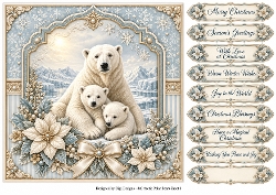 8x8 Arctic Polar Bear - Quick Card Front with Sentiments