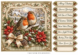 8x8 Christmas Robins - Quick Card Front with Sentiments
