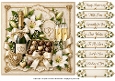 8x8 Champagne Lilys - Quick Card Front with Sentiment