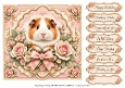 8x8 Guinea Pig Quick Card Front with Sentiments