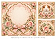 8x8 Guinea Pig Blank Inserts