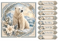 8x8 Winter Polar Bear 2 - Quick Card Front with Sentiments