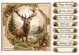 8x8 Woodland Stag - Quick Card Front with Sentiments 