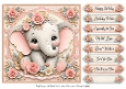 8x8 Precious Elephant Quick Card Front with Sentiments