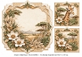 8x8 Safari Giraffe - Blank Insert & Gift Tags