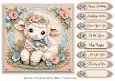 8x8 Sweet Lamb Quick Card Front with Sentiments