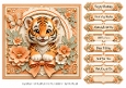 8x8 Tiger Cub Quick Card Front with Sentiments