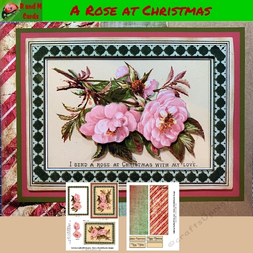 A Rose at Christmas