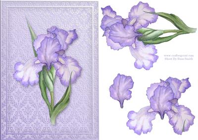 Purple Iris Card Front