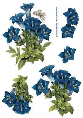 Gentian & Butterfly Decoupage