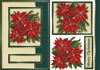 Poinsettias Card Front