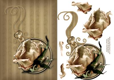 Cream Rose Card Front