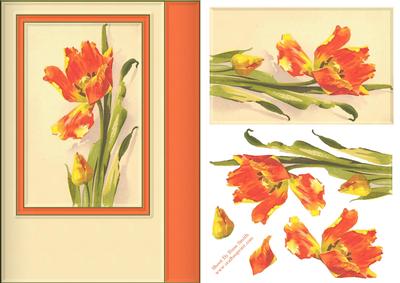 Orange Flowers Quick Card