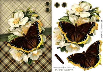 Butterfly & Flowers Quick Card
