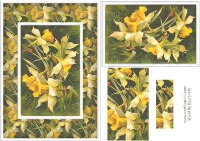 Daffodils Card Front