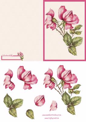 Pink Flower Card