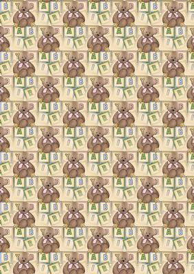 Baby Girl Teddy Backing