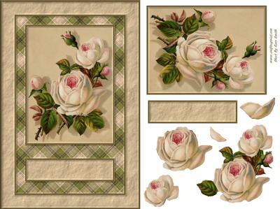 Cream Roses Quick Card