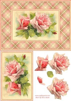 Pink Roses Quick Card