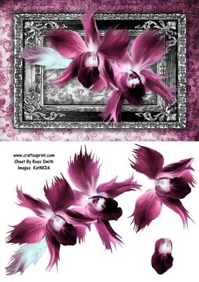 Gothic Pink Flowers Quick Card
