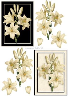 Cream Lilies on Black Decoupage
