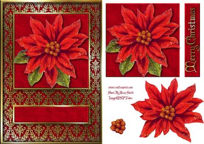 Poinsettia Quick Card