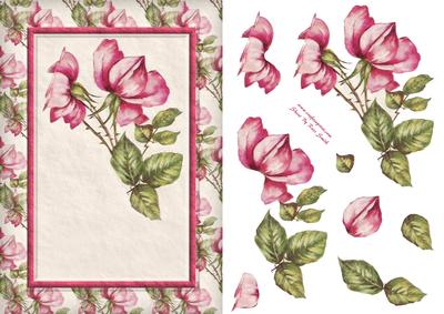 Pink Flowers Quick Card