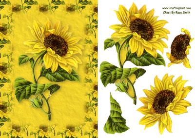 Sunflower Quick Card