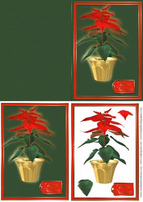 Poinsettia Card