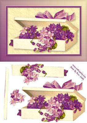Purple Flowers Box Quick Card