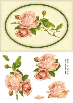 Pink Roses Quick Card