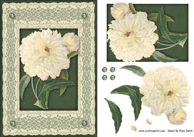 Cream Flower Quick Card
