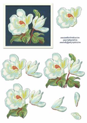 Magnolia Decoupage