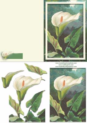 Lily Card Front