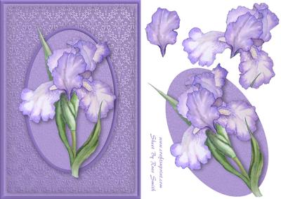Purple Iris on Damask Quick Card