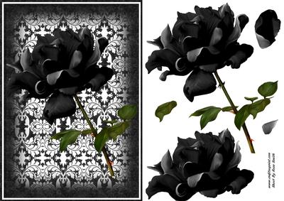 Black Rose Card Front