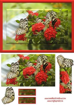 Red Flowers and Butterfly Card Front