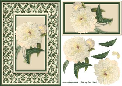 Cream Flowers on Damask Quick Card