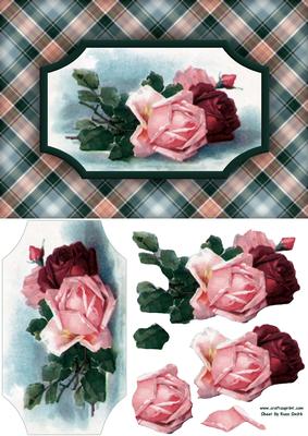 Pink & Red Roses Quick Card