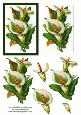 Calla Lily Decoupage