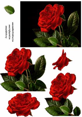 Stunning Red Rose Decoupage