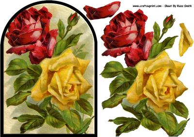 Red & Yellow Roses Rounded Quick Card