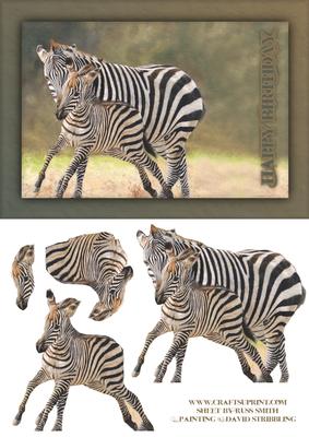 Zebra & Baby Quick Card