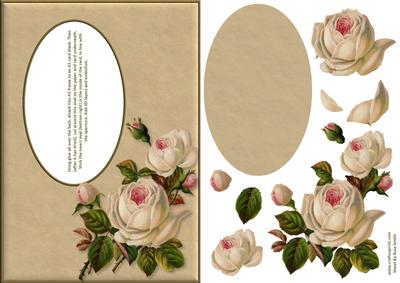 Cream Roses Aperture Card