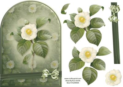White Flower Rounded Quick Card